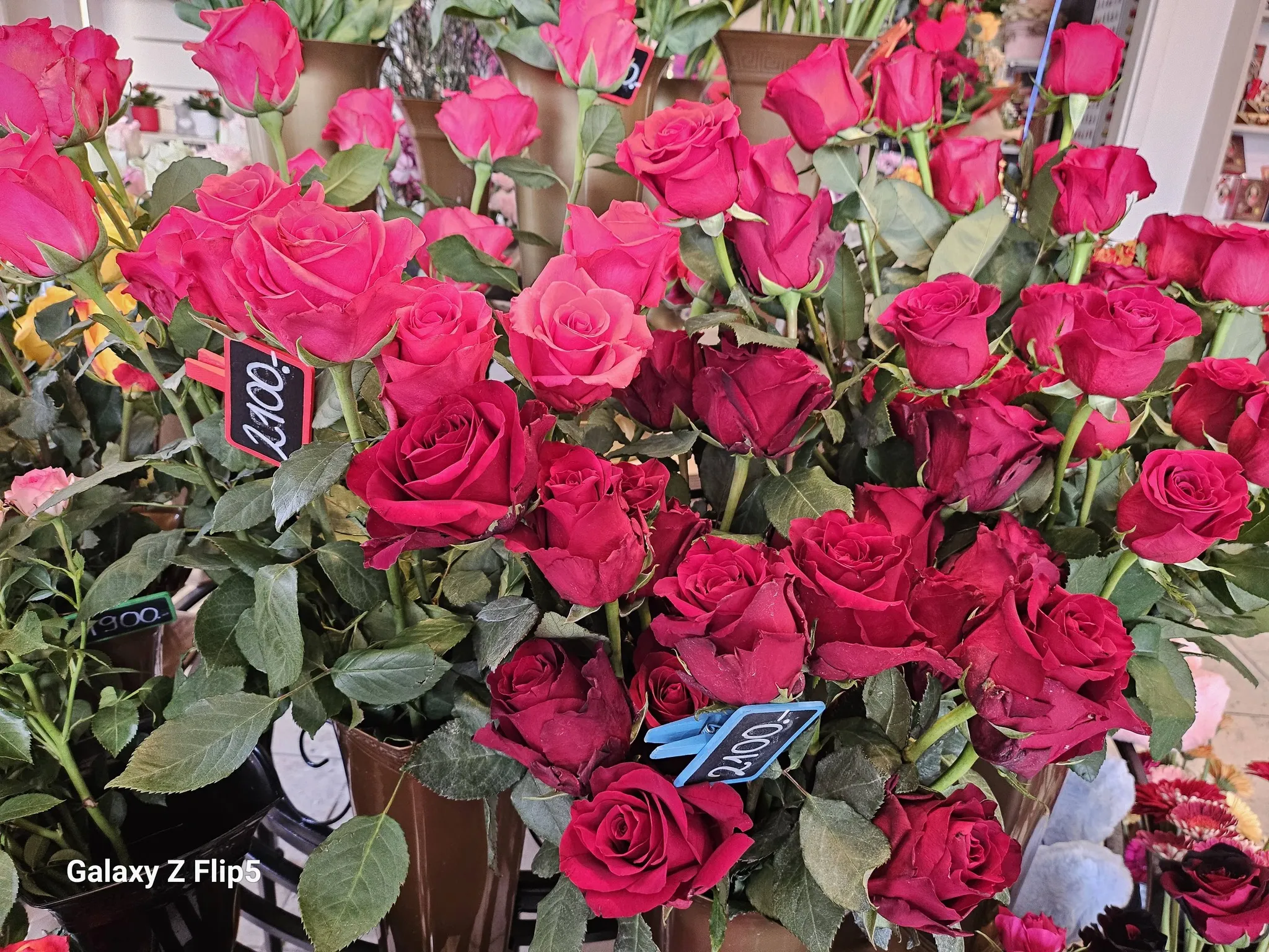 Harmónia Virágsziget — virágkötés 102