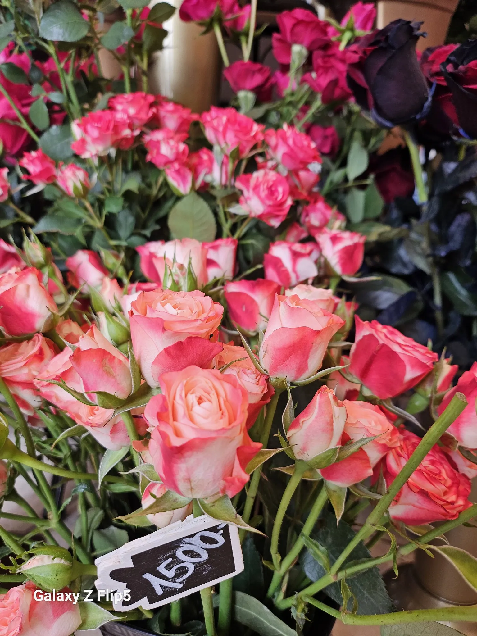 Harmónia Virágsziget — virágkötés 103