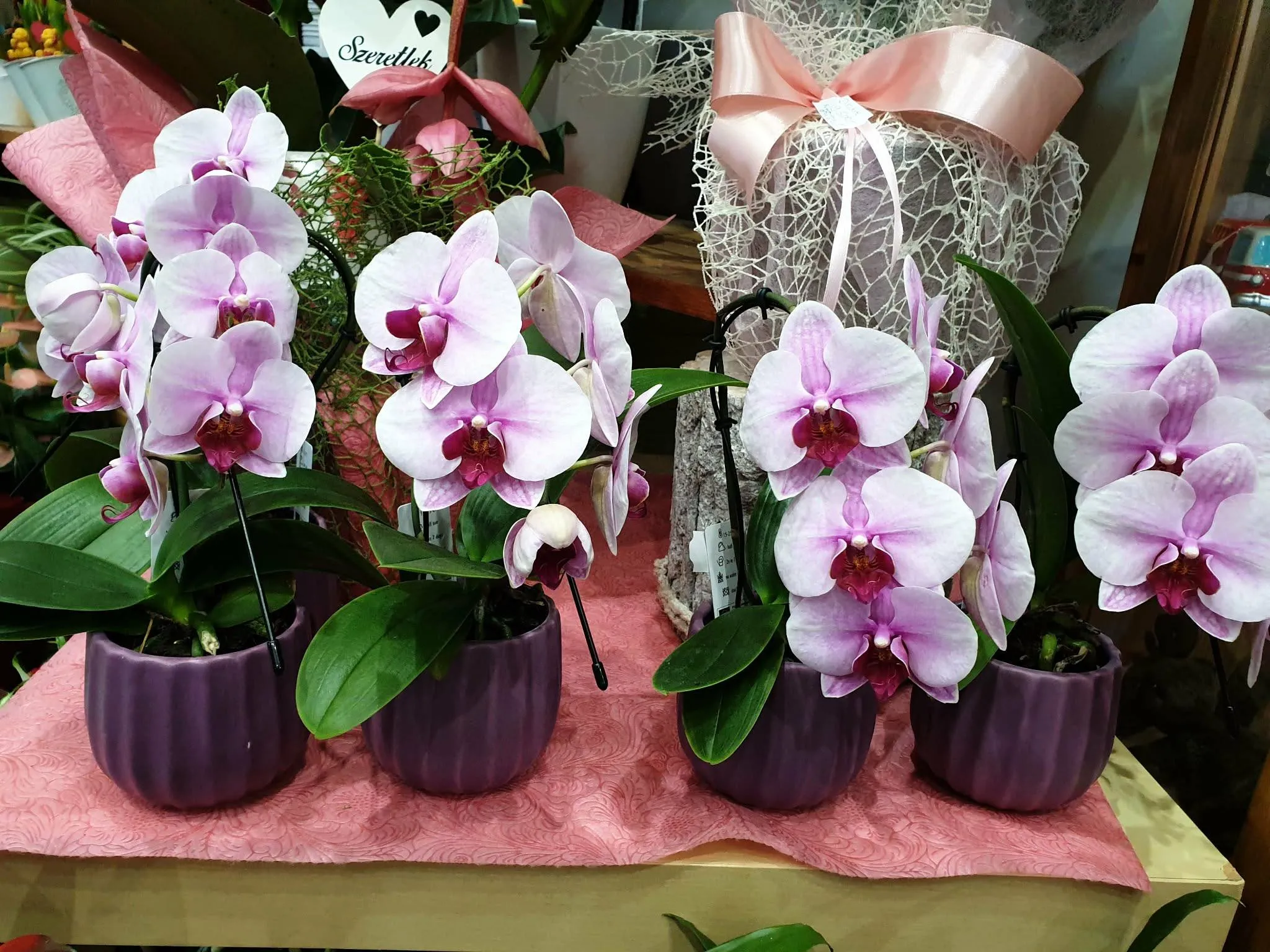 Harmónia Virágsziget — virágkötés 105