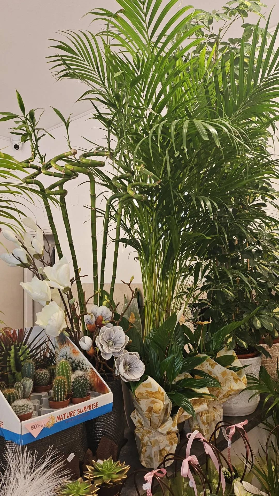 Harmónia Virágsziget — virágkötés 119