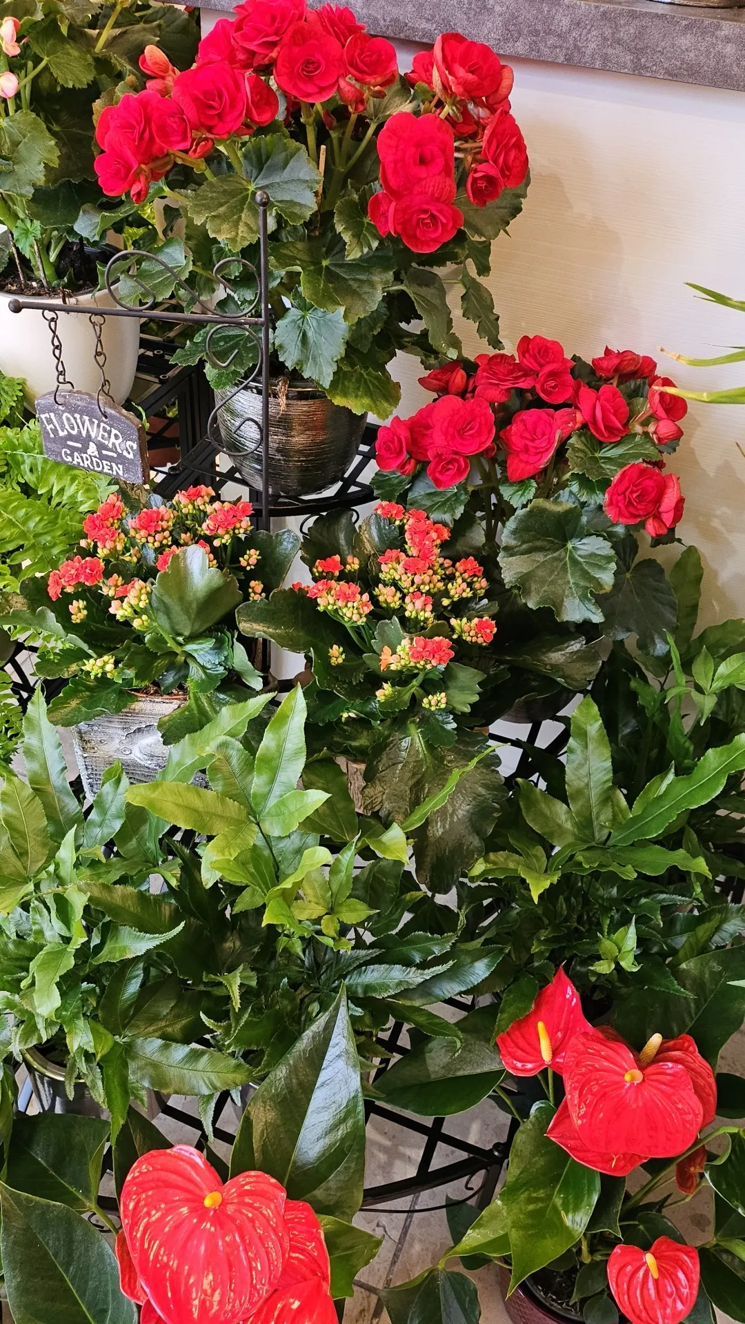 Harmónia Virágsziget — virágkötés 12