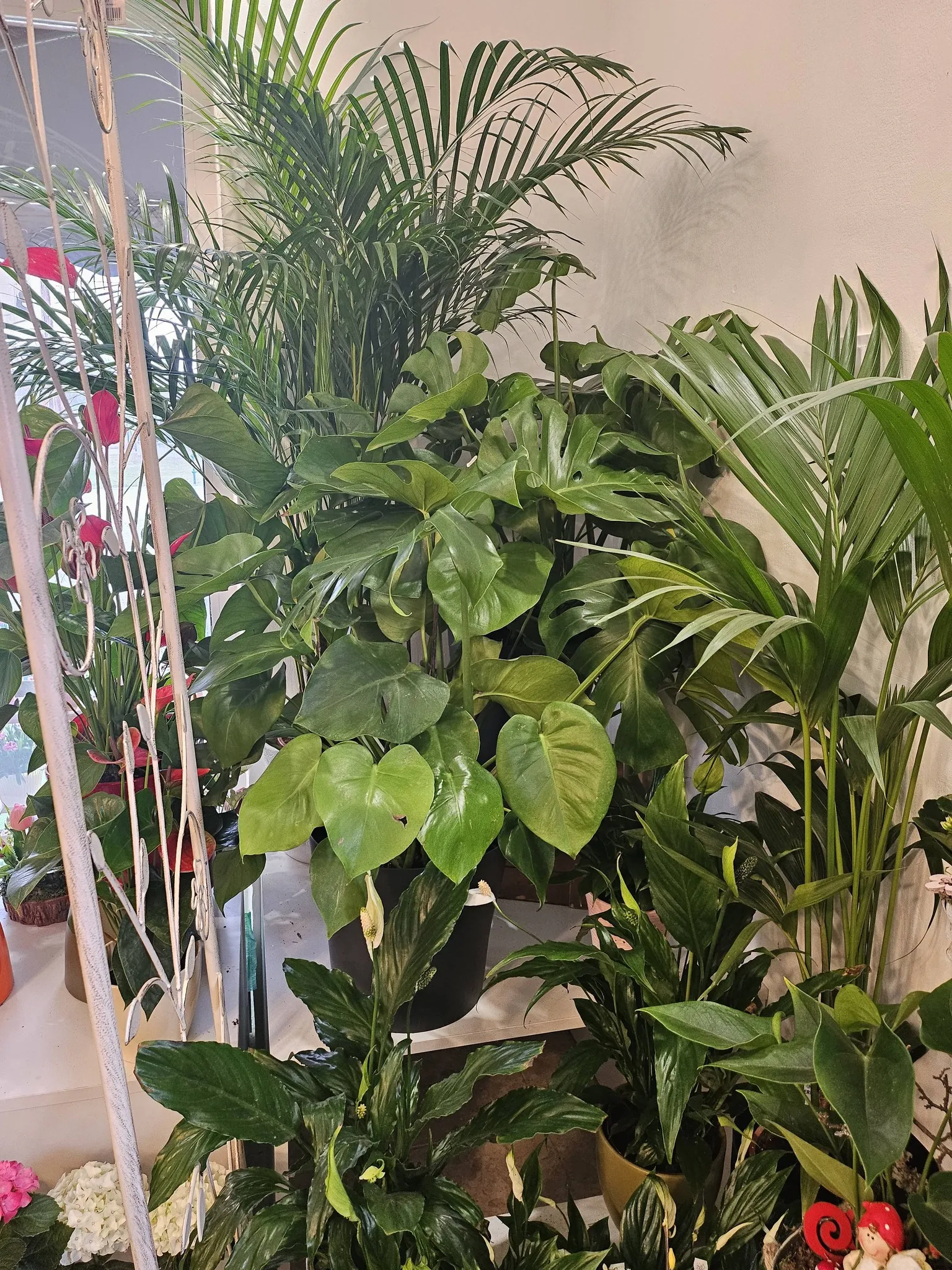 Harmónia Virágsziget — virágkötés 120