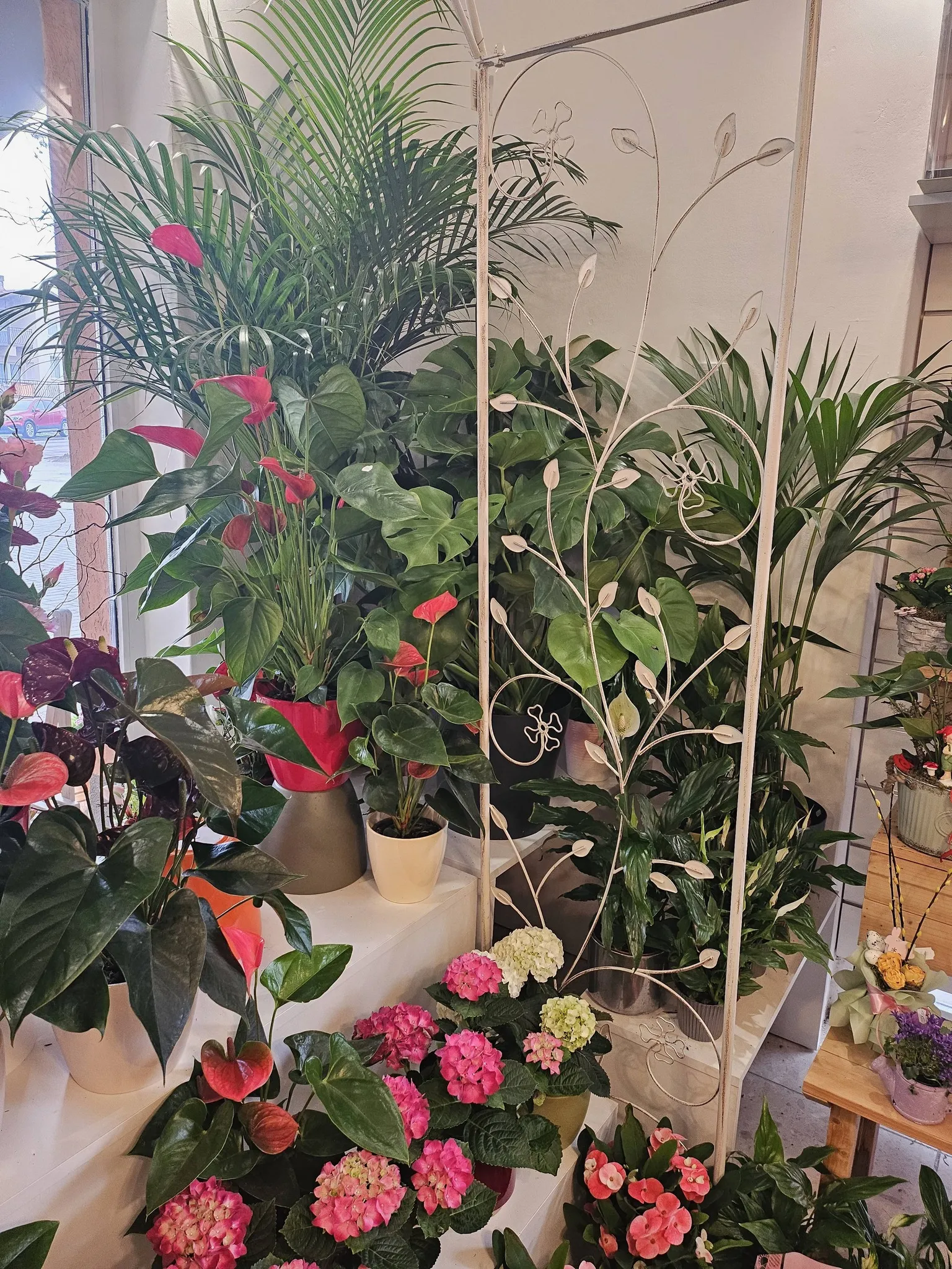 Harmónia Virágsziget — virágkötés 122