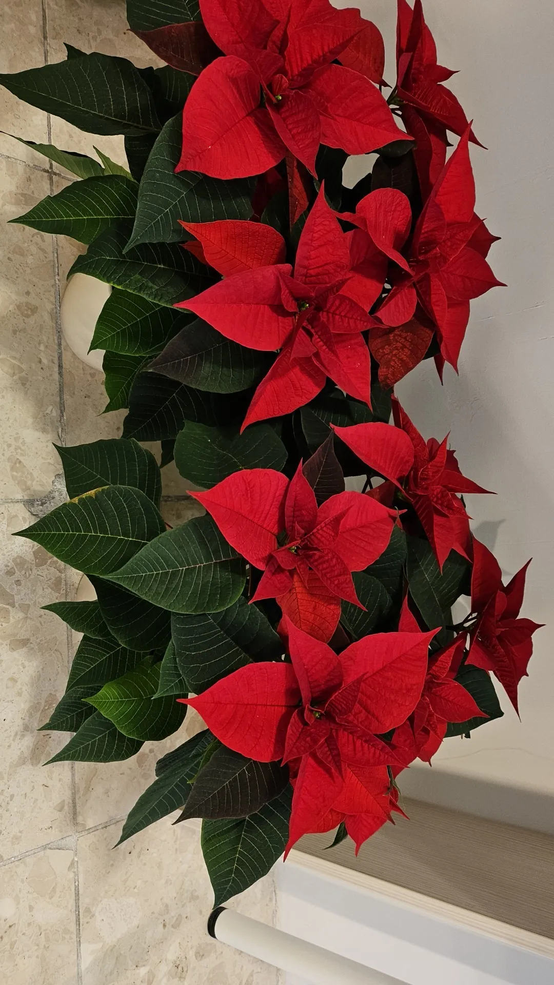 Harmónia Virágsziget — virágkötés 13