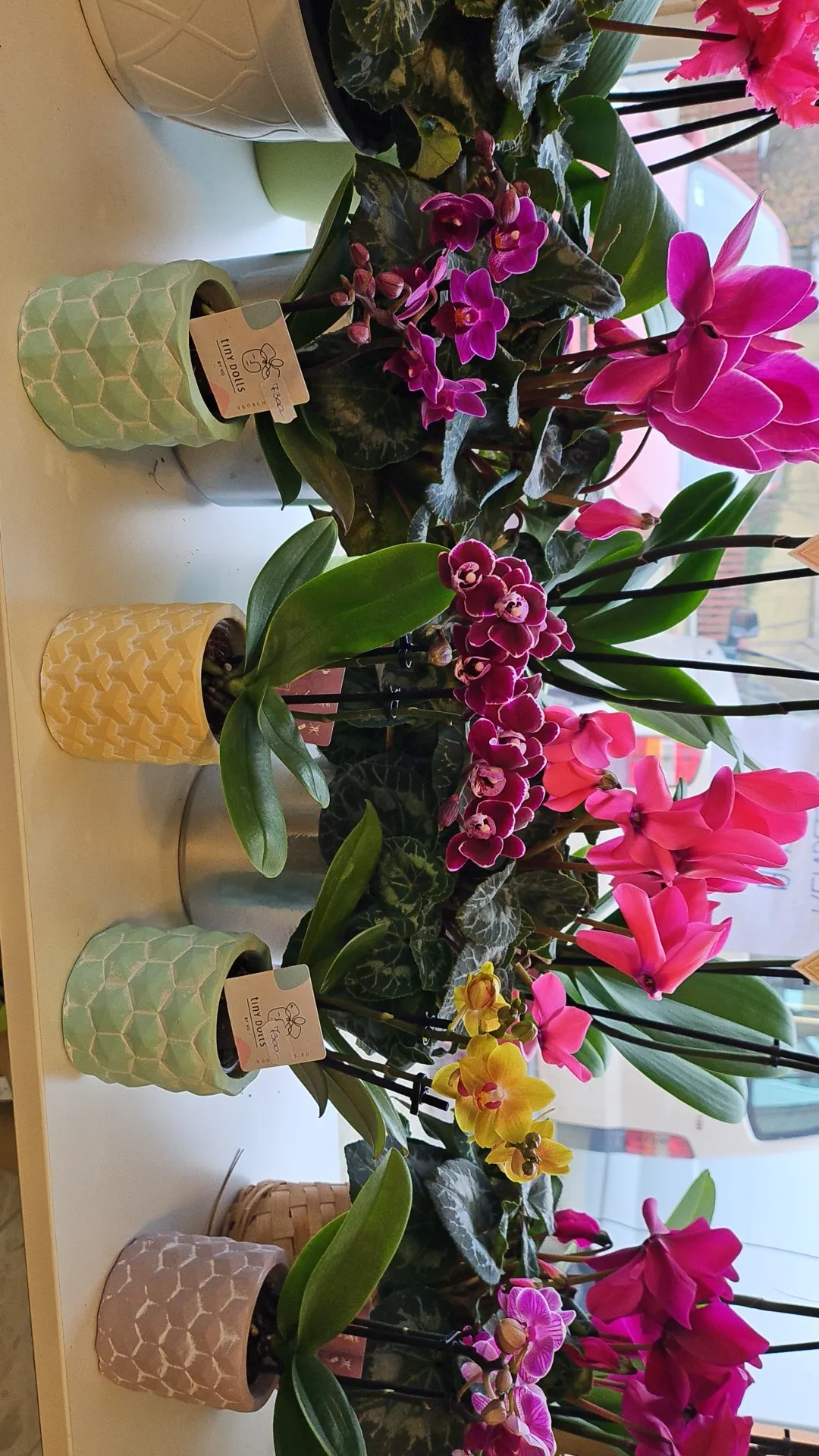 Harmónia Virágsziget — virágkötés 14