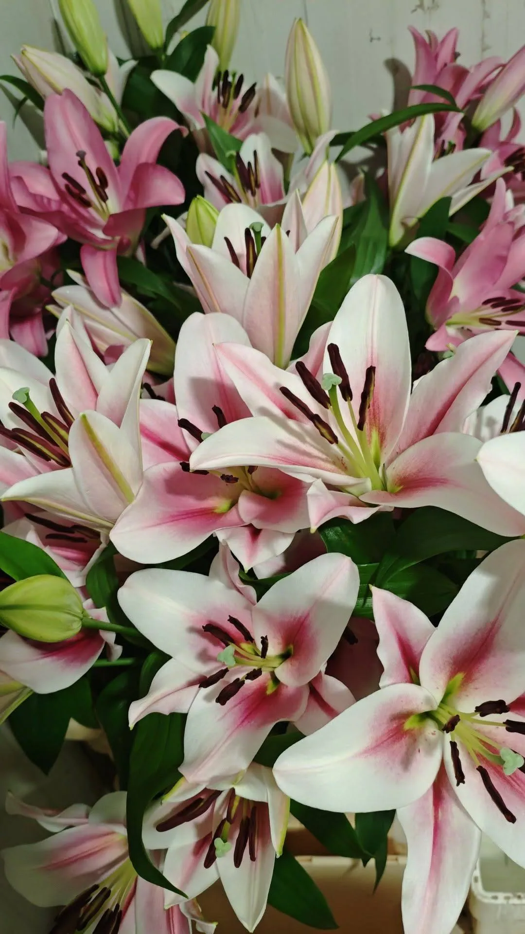 Harmónia Virágsziget — virágkötés 140