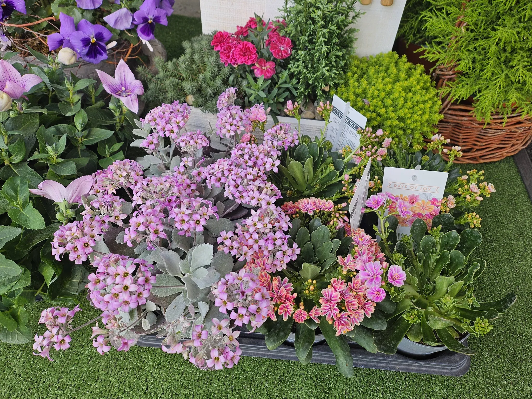 Harmónia Virágsziget — virágkötés 151