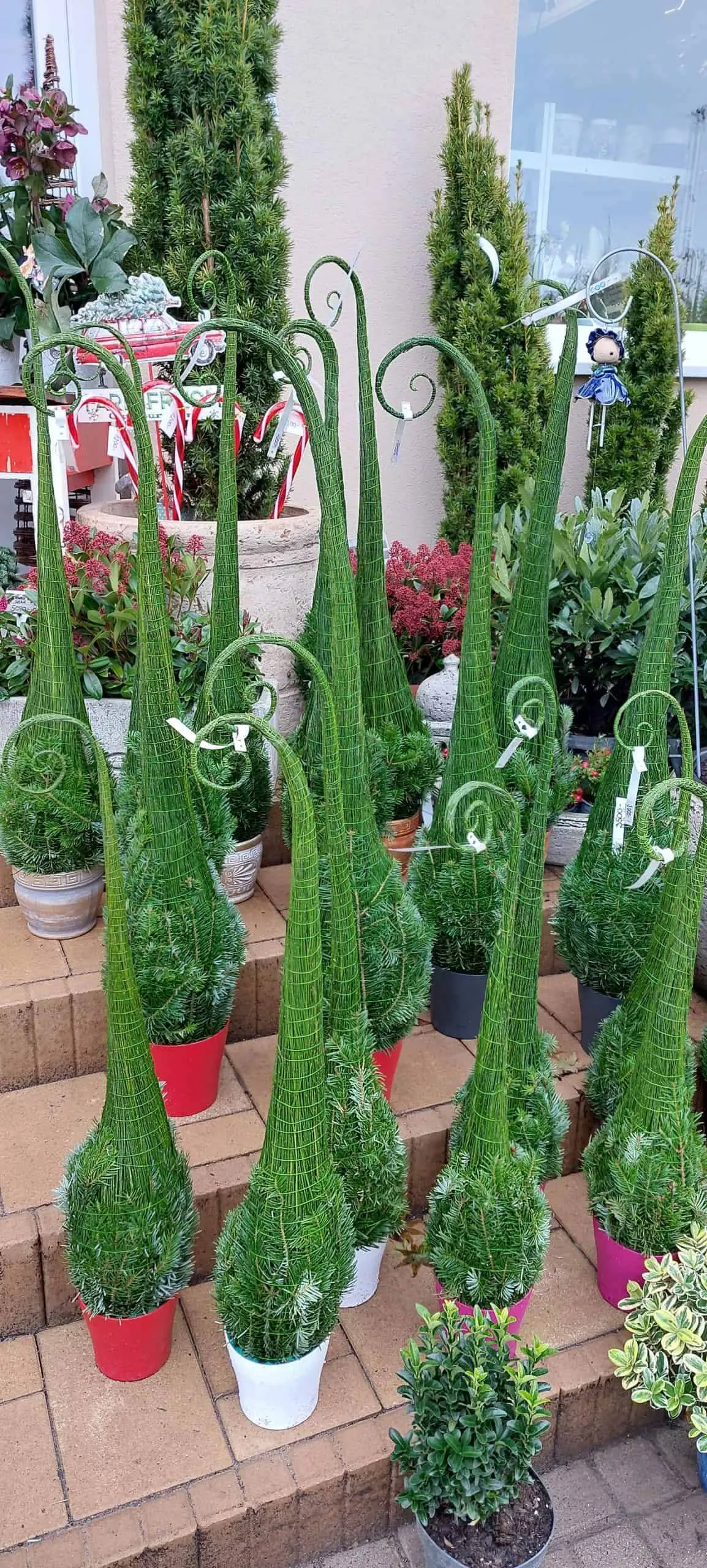 Harmónia Virágsziget — virágkötés 28