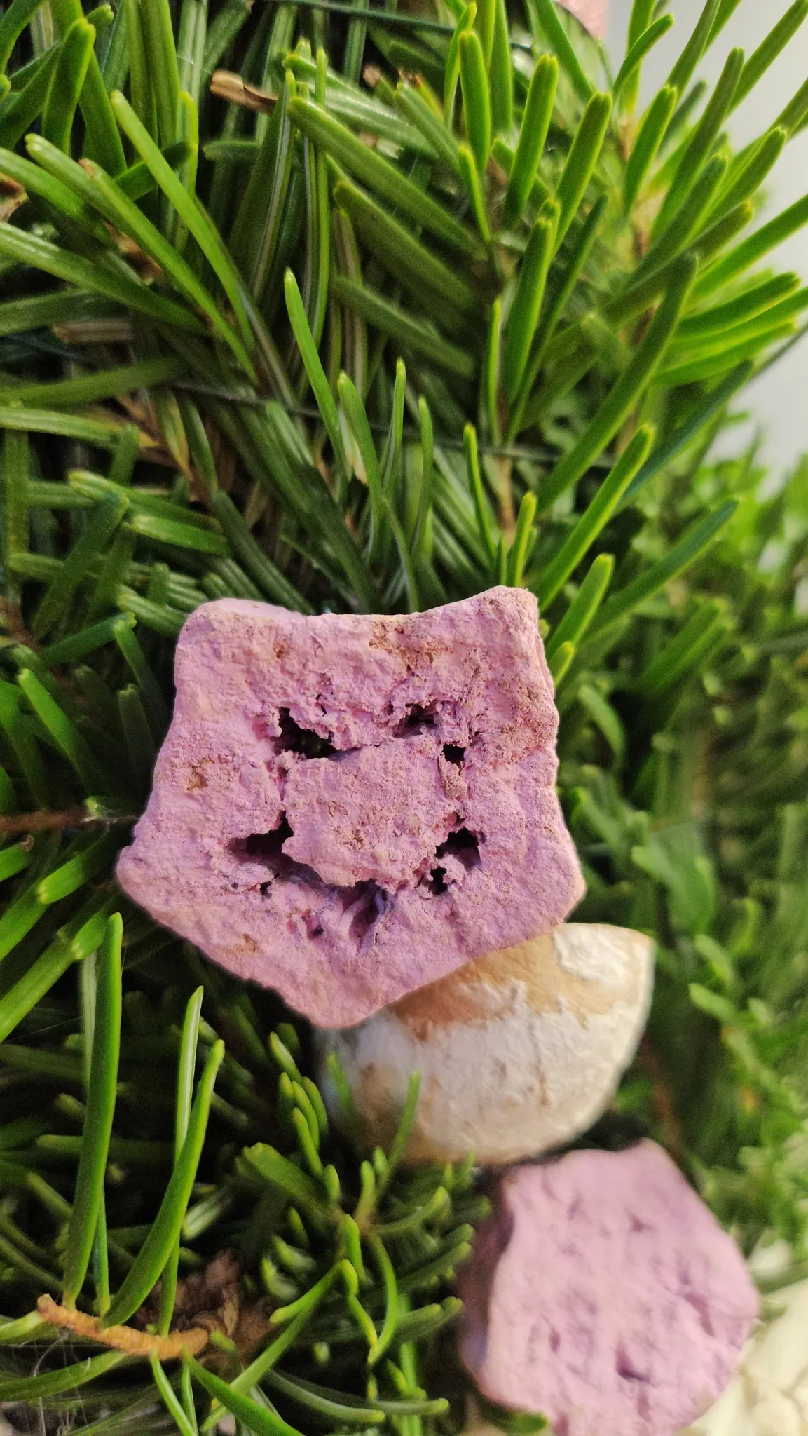 Harmónia Virágsziget — virágkötés 37