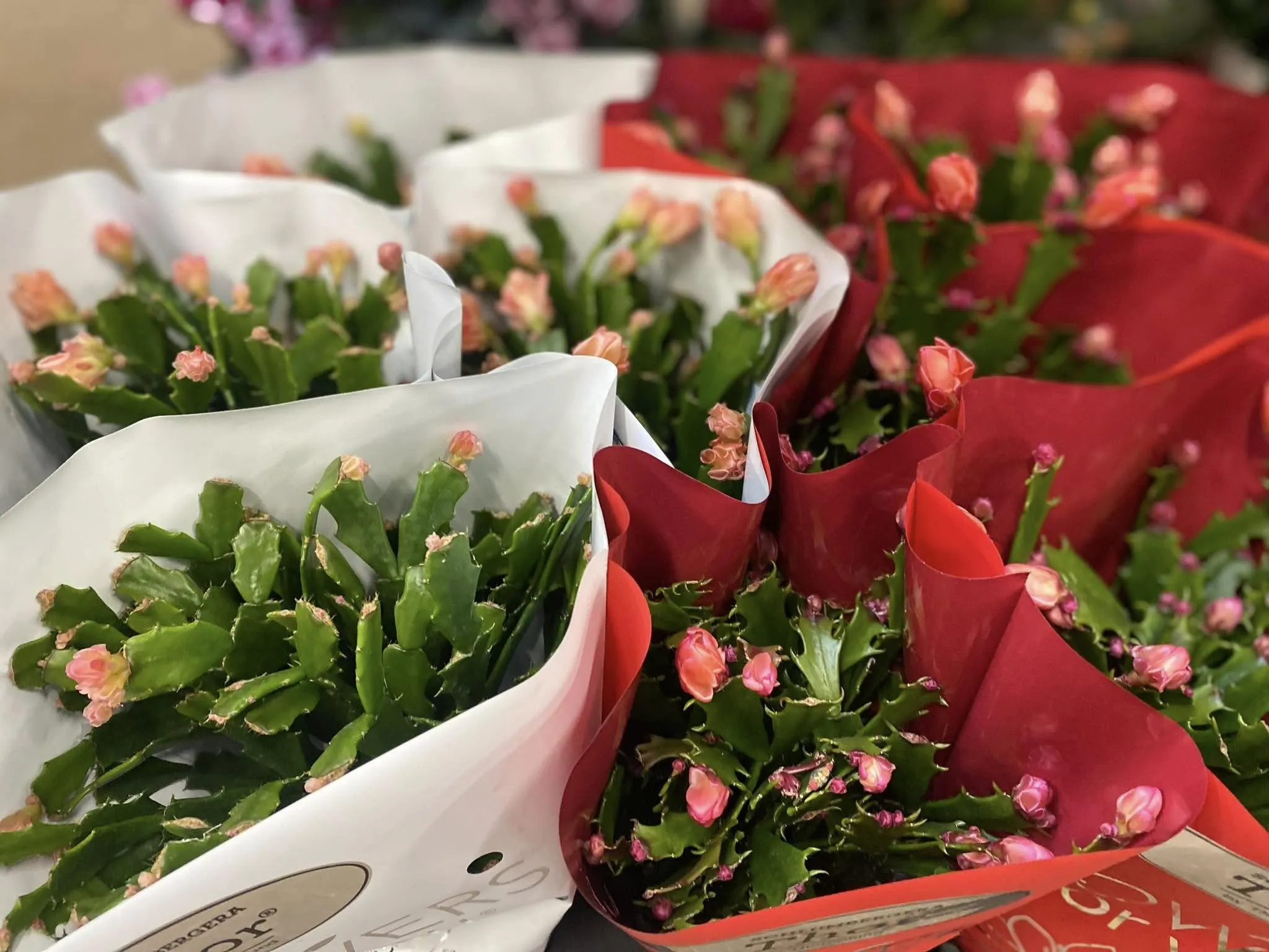 Harmónia Virágsziget — virágkötés 50