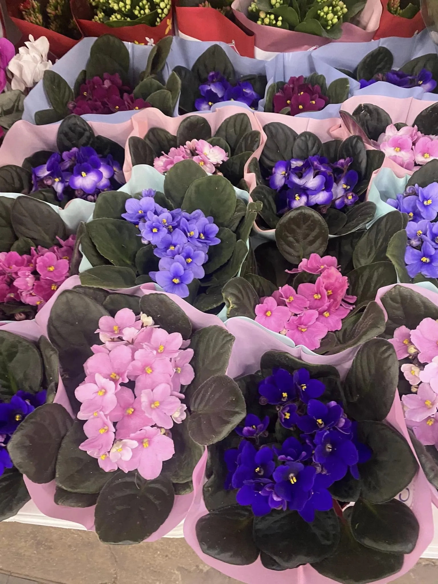 Harmónia Virágsziget — virágkötés 56