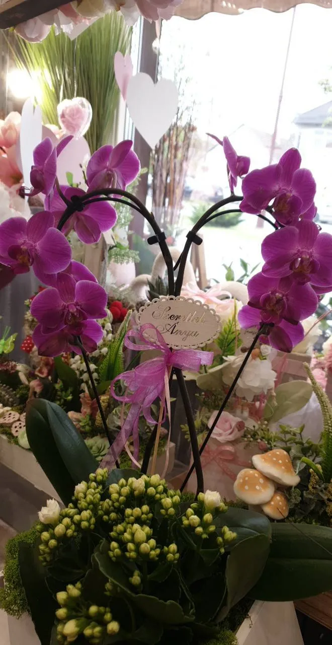 Harmónia Virágsziget — virágkötés 67