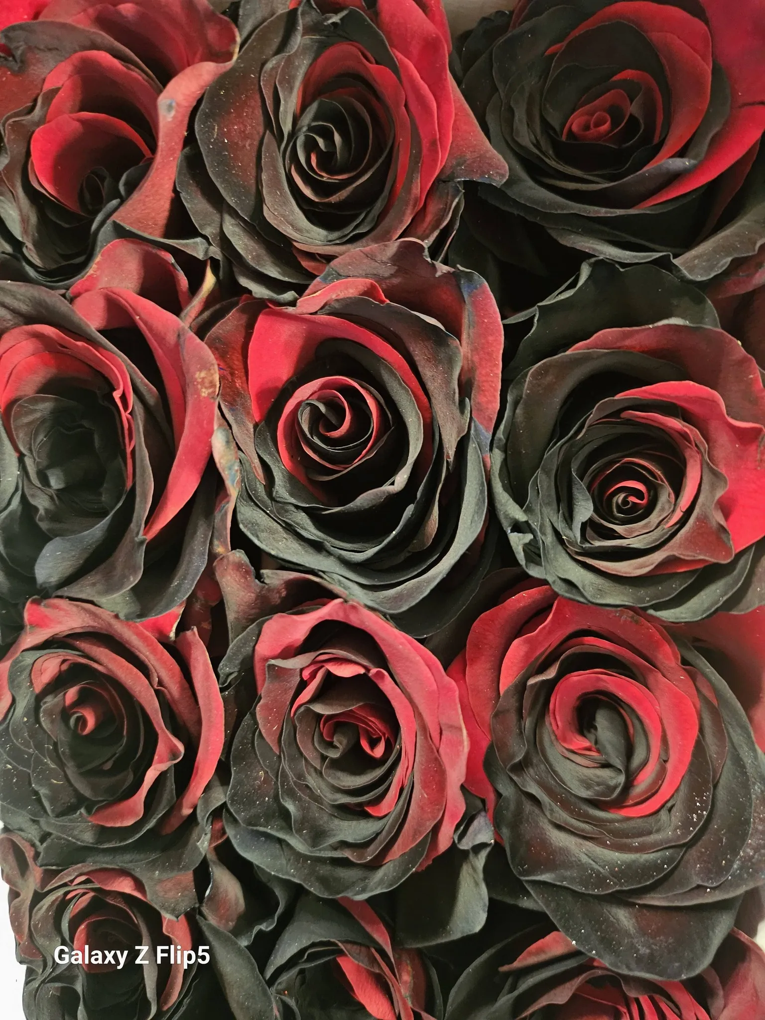 Harmónia Virágsziget — virágkötés 93