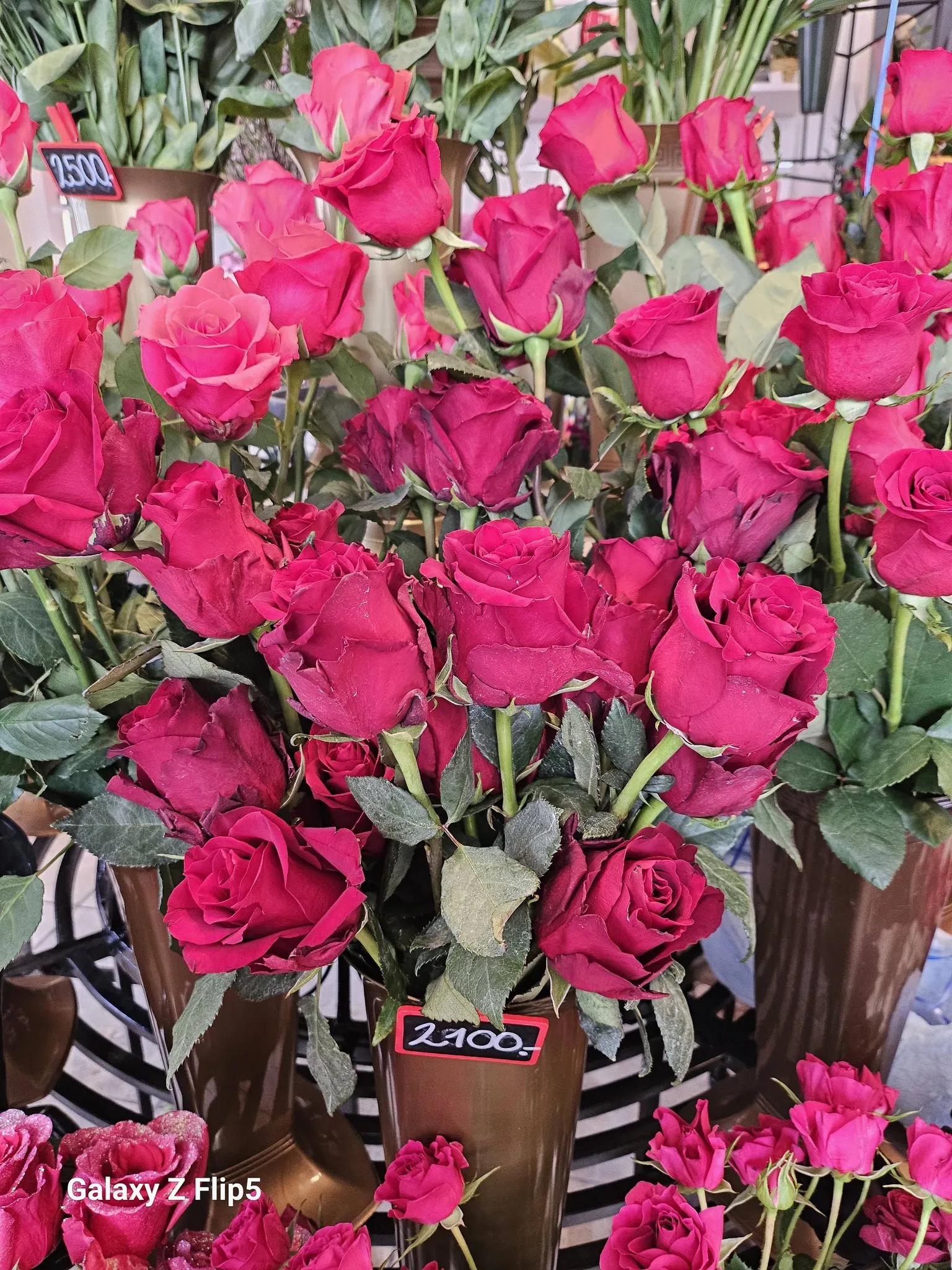 Harmónia Virágsziget — virágkötés 95